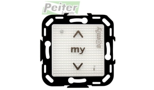 Pilot Somfy SMOOVE 1 IN RTS PURE SHINE