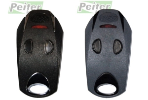 Pilot DTM Neo dwukanałowy NEW