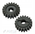 Koło zębate Faac Z20