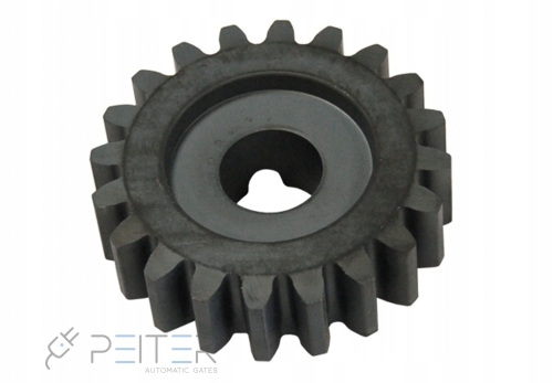 Koło zębate Faac Z20